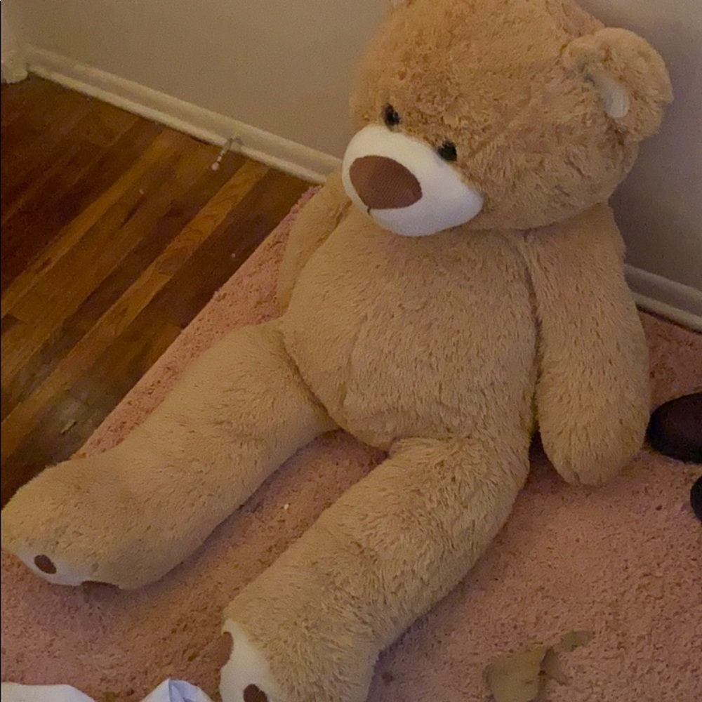 Large bear